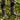 #color_grunge-camo