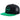 Unisex Flat Brim Trucker Cap - Green and Black1 - Bassdash