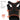 Dog Neoprene Hunting Vest FV10 - Bassdash