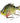 SwimPanfish 2.5”/0.34oz Hard Bluegill Swimbaits