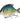 SwimPomfret Hard Swimbait with Built-in Steel Balls 3.9in/1.3oz - Bassdash