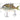 SwimPomfret Hard Swimbait with Built-in Steel Balls 3.9in/1.3oz - Bassdash