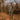 WALKER Breathable Waterproof Hunting Pants for men - Bassdash
#color_autumn-forest