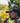 Unisex Desolve Camo Fishing Hunting Hat